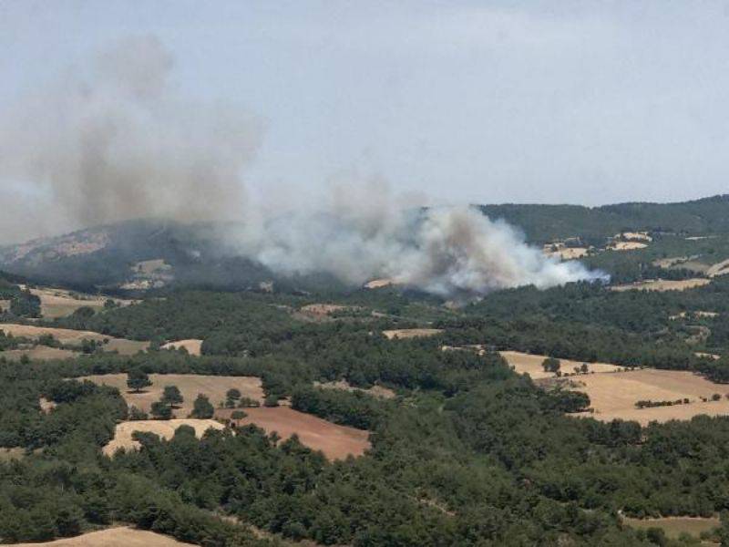 Çanakkale'de Orman Yangınında 3 Hektar Ormanlık Alan Zarar Gördü