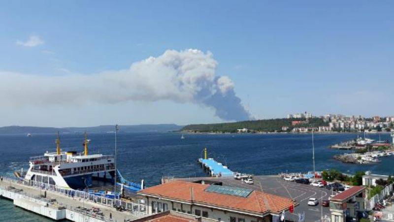 Çanakkale'de Orman Yangını