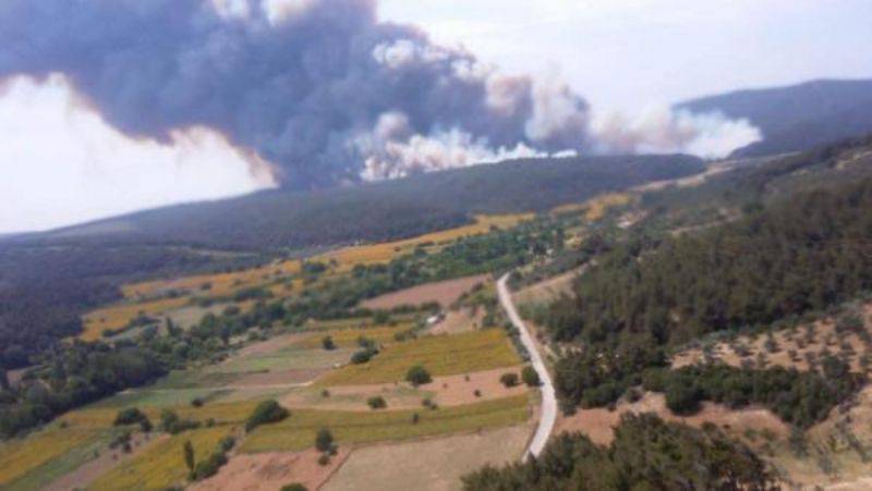 Çanakkale'de Orman Yangını