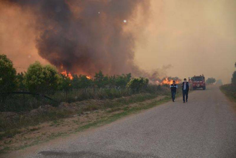 Çanakkale'de Orman Yangını