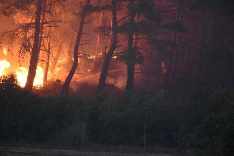 Çanakkale'de Orman Yangını