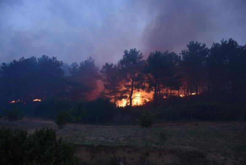 Çanakkale'de Orman Yangını