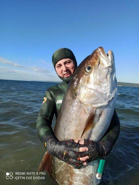 Zıpkınla 58 Kilo Ağırlığında, 1 Metre 80 Santim Boyunda Akya Avladı