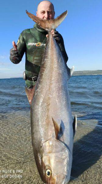 Zıpkınla 58 Kilo Ağırlığında, 1 Metre 80 Santim Boyunda Akya Avladı