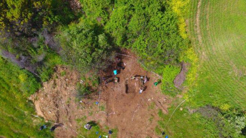 Çanakkale'de Kaçak Kazıda Zemin Mozaiği Bulundu