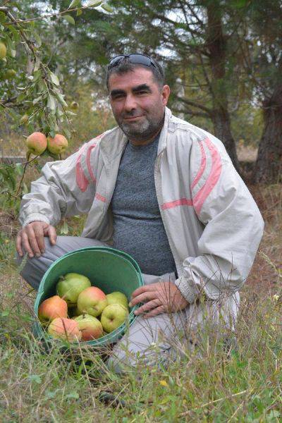 'Yetişmez' Denilen Yerde 40 Ton Deveci Armudu Üretti