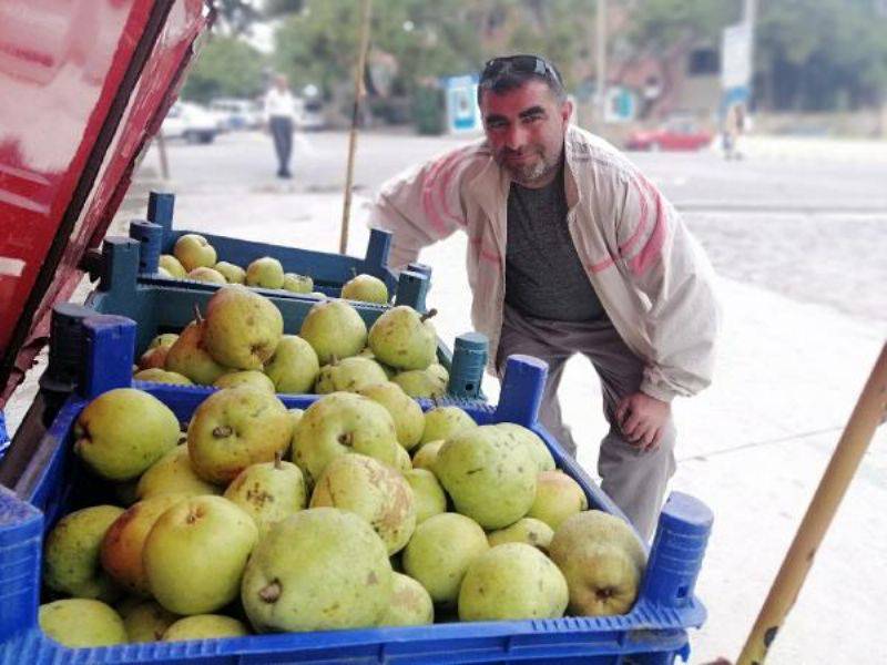 'Yetişmez' Denilen Yerde 40 Ton Deveci Armudu Üretti