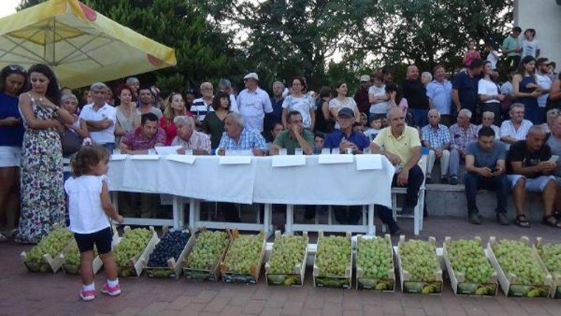 Bozcaada Bağbozumu Festivali Renkli Geçti