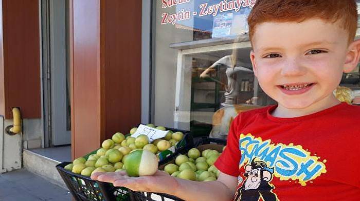 'Bayramiç Beyazı' Üreticinin Yüzünü Güldürüyor