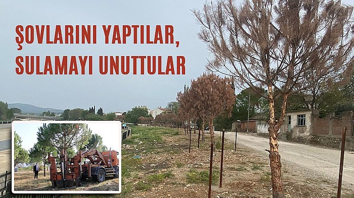 Şovlarını Yaptılar, Sulamayı Unuttular