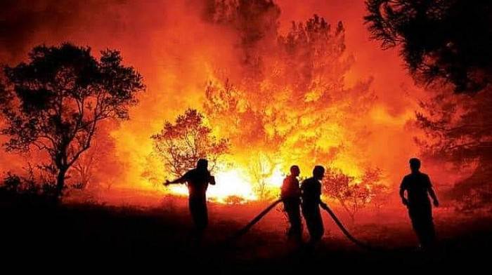 Çanakkale'de Orman Yangını