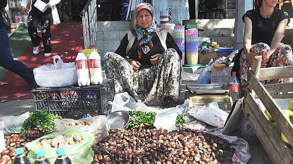 Kazdağı Kestanesi, Geçim Kaynakları Oldu