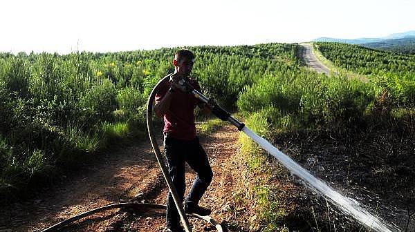 Bayramiç'te Korkutan Orman Yangını