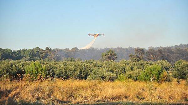Ezine'deki Orman Yangını Kontrol Altına Alındı