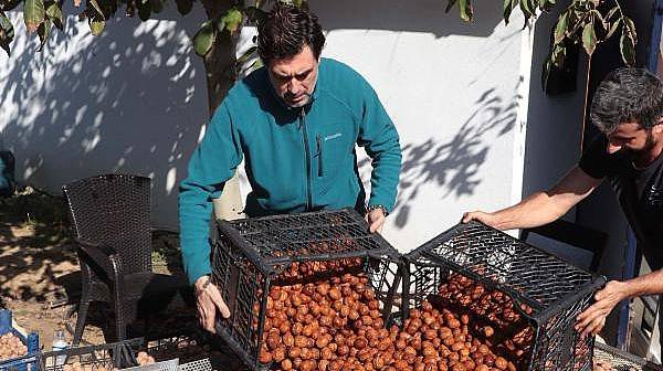 Huzuru Köy Yaşamında Bulan Oyuncu Burak Hakkı, Cevizlerini Hasat Etti