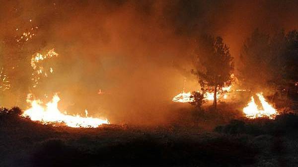 Tarihi Gelibolu Yarımadası'nda Orman Yangını