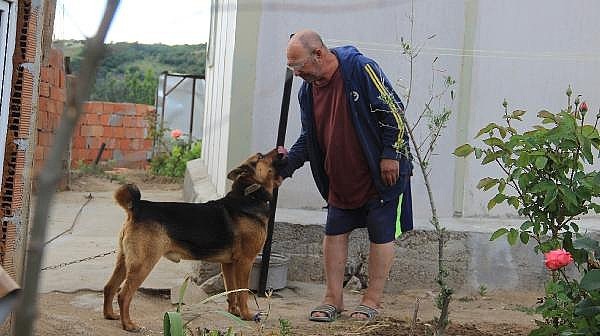 Kurt Köpeği, Eve Girmeye Çalışan 2 Metrelik Yılanı Parçaladı