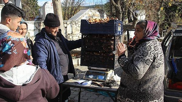 Kazdağları'ndaki Kanlıca Mantarı Köylüye Ek Gelir Oldu