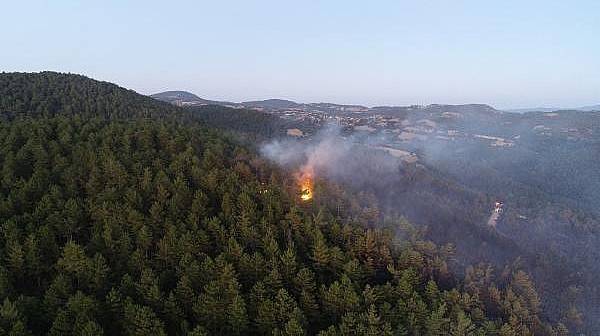 Yenice'de Orman Yangını