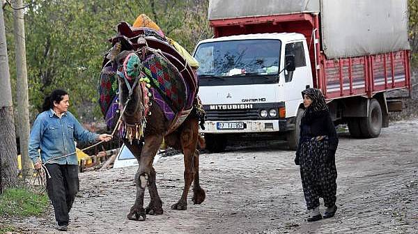 Anne ve Kızı, Develerini Arenalarda Güreştiriyor