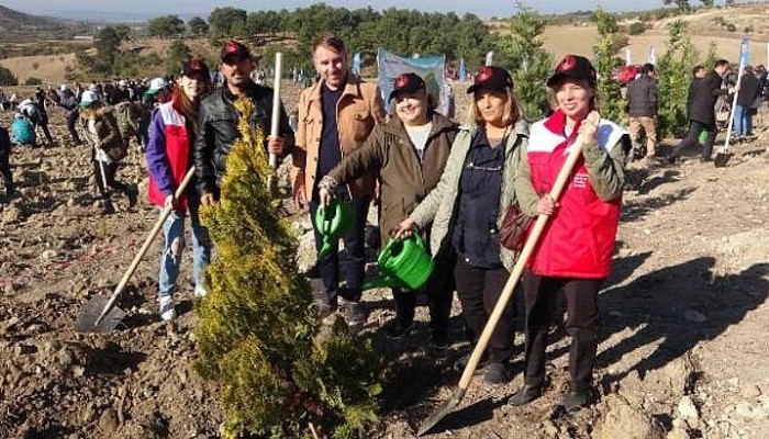 Çanakkale'de 23 Bin Fidan Toprakla Buluşturuldu