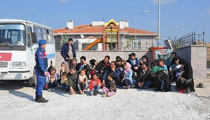 Ayvacık'ta 43 Kaçak Yakalandı