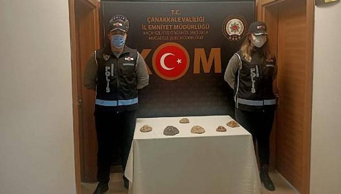 Çanakkale'de 6 Deniz Yıldızı Fosili Ele Geçirildi