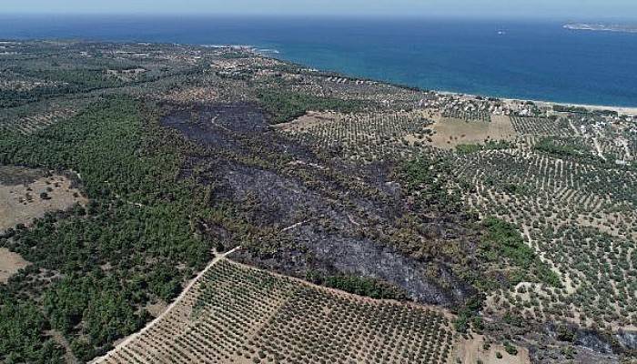 Çanakkale'deki 52 Orman Yangınında 222 Hektar Alan Kül Oldu