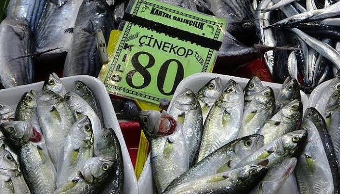 Çanakkale'de Balık Tezgahları Bu Kez Çinekopla Doldu