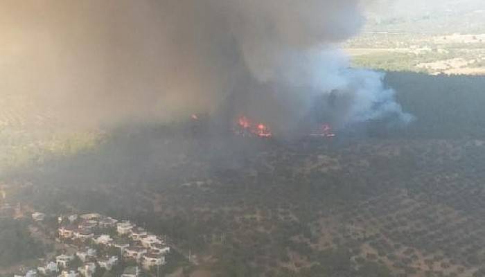 Ezine'de Orman Yangını 