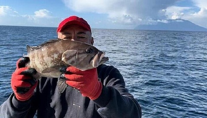 Kuzey Ege Denizi'nde Uzun Yıllar Sonra  'Ak Lagos' Balığı Yakalandı