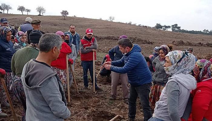 Ormanda İşbaşı Eğitimi Verildi 