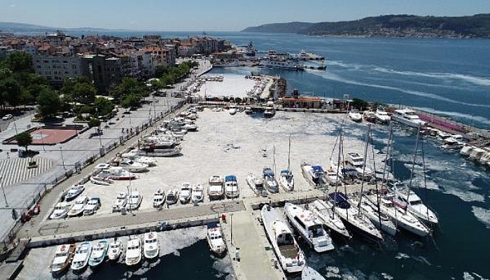 Çanakkale Boğazı’nda Deniz Salyası Yoğunluğu