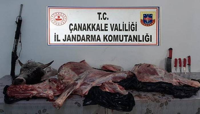 Büyük ve Küçükbaş Hayvanları Silahla Vuran 2 Kişi, Yakalandı