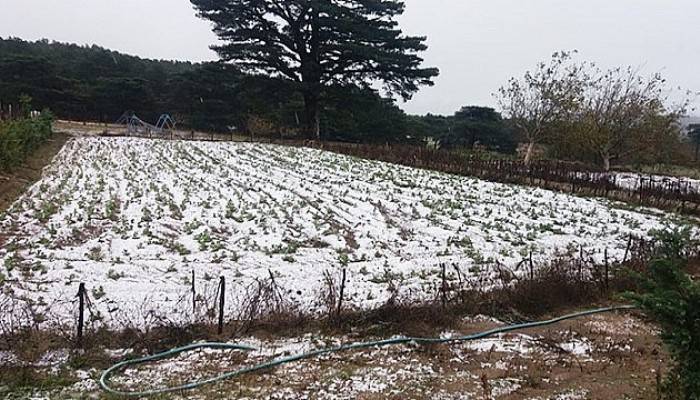 Kaz Dağları'na Mevsimin İlk Karı