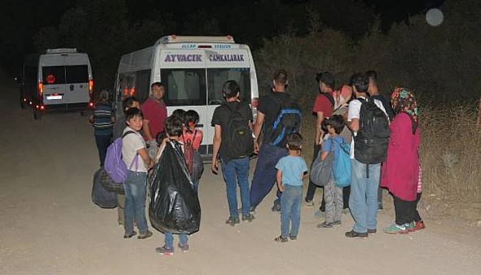 Ayvacık'ta Zeytinlikte 48 Kaçak Göçmen Yakalandı