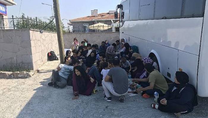 Ayvacık'ta 56 Kaçak Göçmen Yakalandı