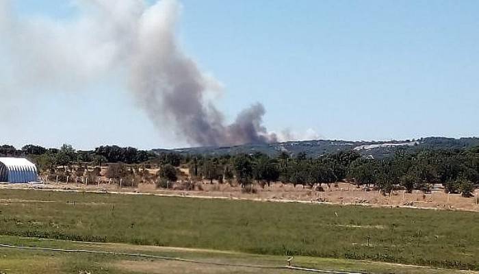 Ayvacık'taki Yangında, 8 Hektar Zirai Alan Kül Oldu 