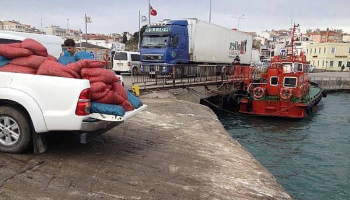 Gelibolu'da 2,5 Ton Kum Midyesi ve 400 Kilo Deniz Patlıcanı Ele Geçirildi