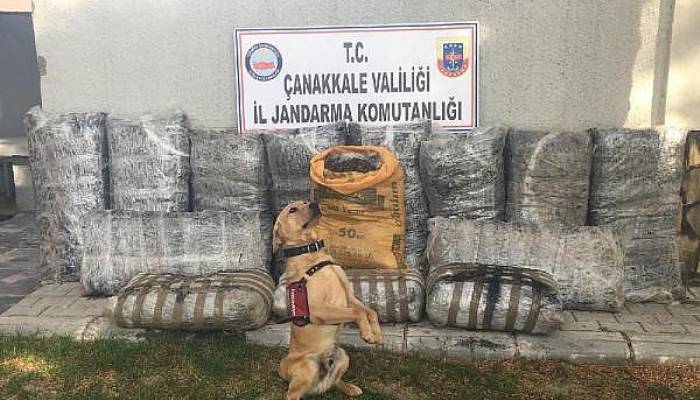 Ahşap Tekne Battı, 1 Ton 411 Kilo Uyuşturucu Denize Dağıldı 