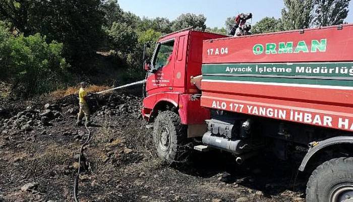 Ayvacık'ta Zeytinlik Yangını