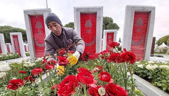 Şehit Mezarlarına Kırmızı-Beyaz 11 Bin Şakayık Dikildi