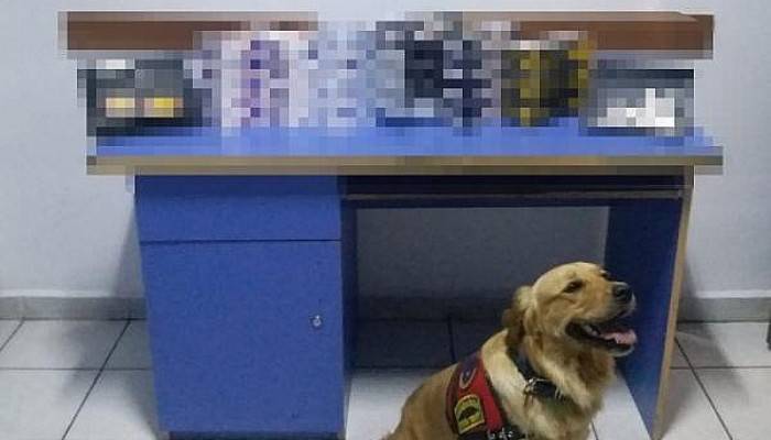 Narkotik Köpeği 'Roket' İle Yapılan Kaçak Tütün Operasyonunda, 1 Gözaltı