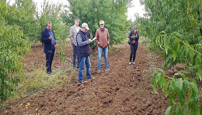 Bayramiç Beyazı’na Sertifikalı Fidan Tescili