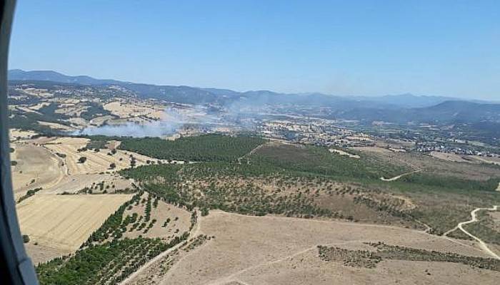 Çanakkale'de Orman Yangını