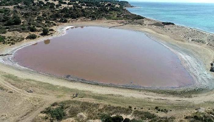 Herkes, Kalpli Gölün Pembeleşmesini Bekliyor