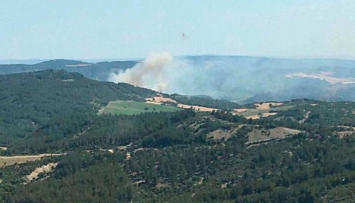 Çanakkale'de Ormanlara Giriş Yasaklandı