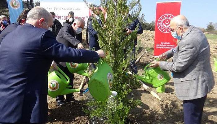 Çanakkale'de '8 Mart Dünya Kadınlar Günü'nde Fidan Dikildi