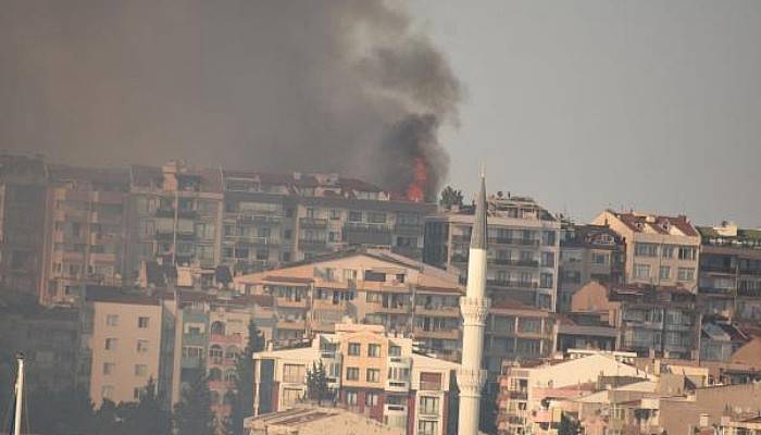 Çanakkale'deki Yangın Söndürüldü