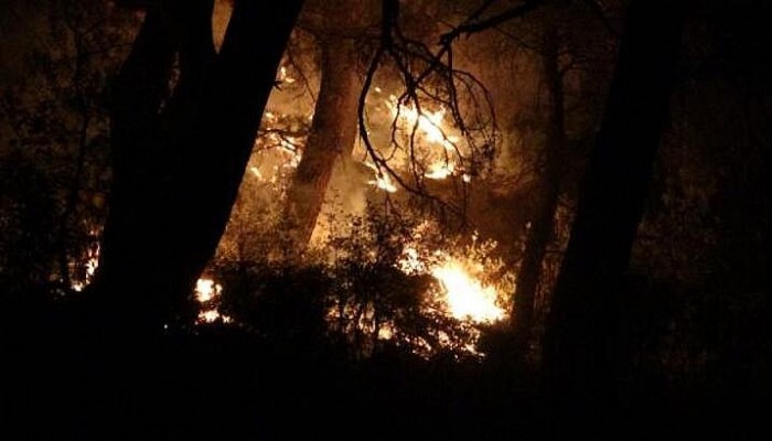 Çanakkale'de Orman Yangını 